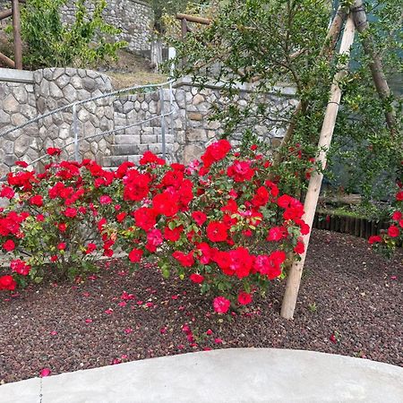 "Il Fienile Di Zia Teresa" Villa Massa Lubrense Kültér fotó