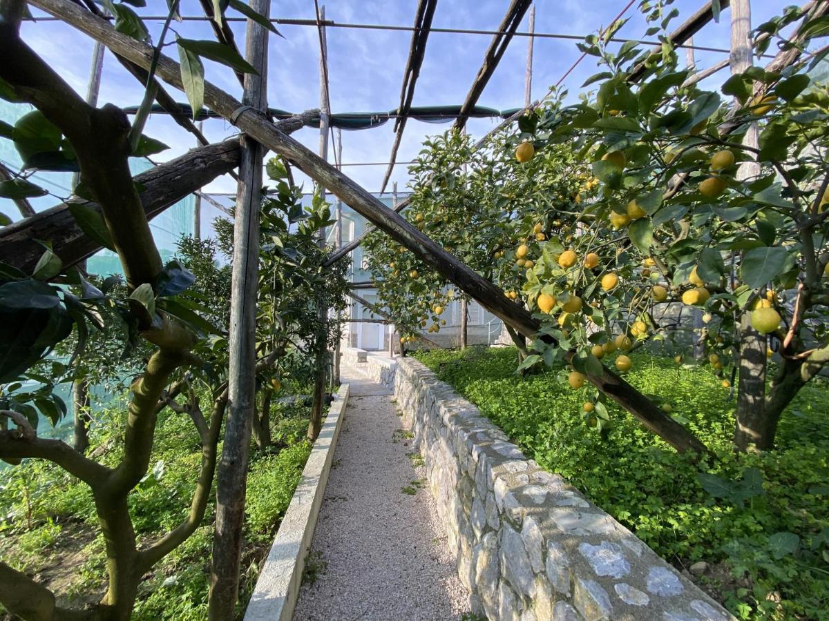 "Il Fienile Di Zia Teresa" Villa Massa Lubrense Kültér fotó
