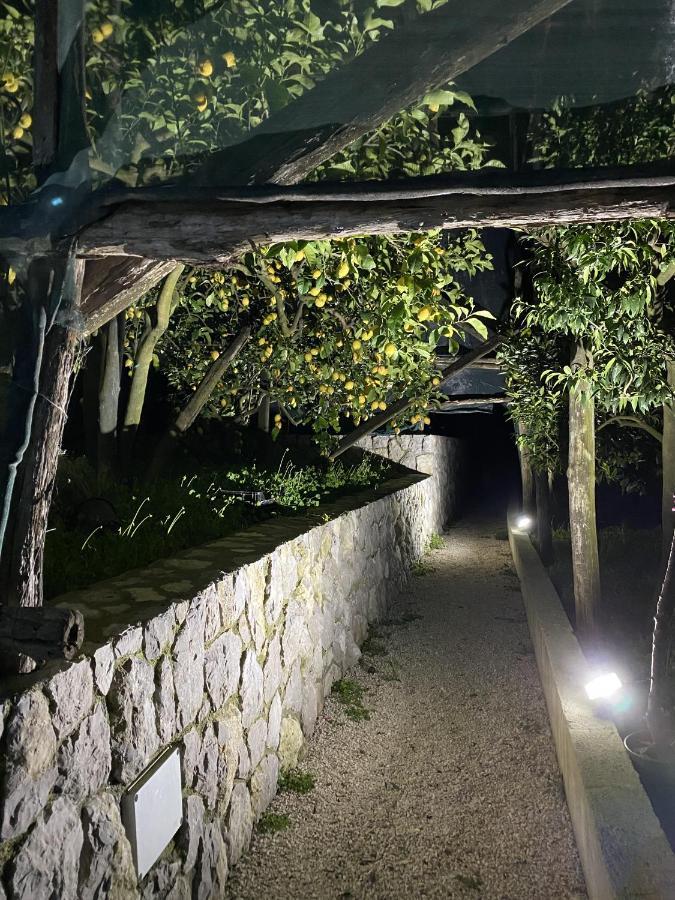 "Il Fienile Di Zia Teresa" Villa Massa Lubrense Kültér fotó