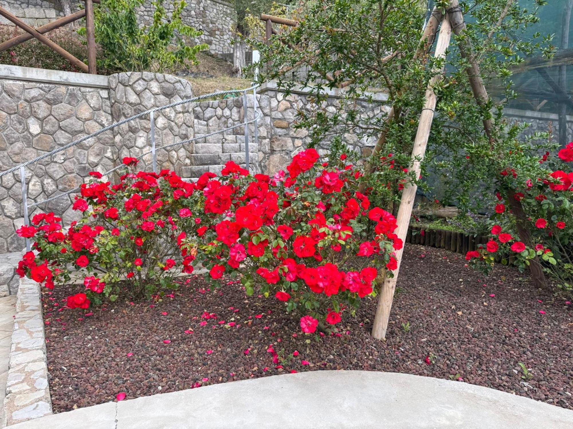 "Il Fienile Di Zia Teresa" Villa Massa Lubrense Kültér fotó
